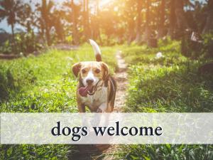 a dog walking down a path with the words dogs welcome at Tolle Zweiraum-Ferienwohnung in bester Lage l Innenstadtnähe l 1 Minute zum Bahnhof l TV l Free-WLAN l Keine Küche l Willkommen im Hallo!-Apartment 4 in Bad Wörishofen