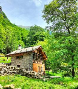 une petite maison en pierre au milieu d'une forêt dans l'établissement Baita del noce, à Mollia