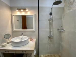 La salle de bains est pourvue d'un lavabo et d'une douche. dans l'établissement Πέτρινο σπίτι με κήπο και θέα στον ελαιώνα, Katouna Home II, à Katouna