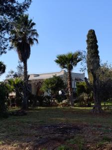 una casa con palmeras delante en CASALE SOFIA E MARIAGIULIA, en Alessano