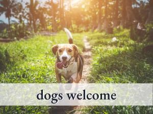 ein Hund, der einen Pfad entlang geht mit den Worten Hunde willkommen in der Unterkunft Gemütliche Ferienwohnung in bester Lage l Innenstadtnähe l 1 Minute zum Bahnhof l Küche l TV l Free-WLAN l Willkommen im Hallo!-Apartment 6 in Bad Wörishofen