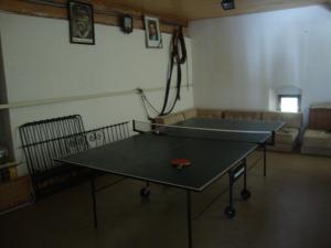Stolní tenis v ubytování Petrovický mlýn nebo okolí