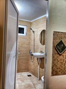 ein kleines Bad mit einem Waschbecken und einer Dusche in der Unterkunft The Mountain House Doris in Kruševo