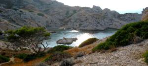 Gallery image of Les pieds dans l'eau sur l'Ile du Frioul in Marseille