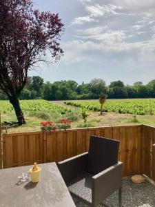 een patio met een tafel en stoelen en een veld bij Lodging Gîte Au Milieu des Vignes & des Étoiles in Saint-Jean-de-Fos