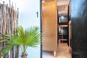 Fotografie z fotogalerie ubytování Maui Hostels Playa del Carmen v destinaci Playa del Carmen