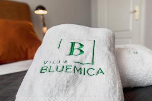 Posteľ alebo postele v izbe v ubytovaní Villa Bluemica