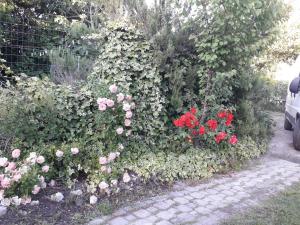 Gallery image of B&B Domo De Pedra in Tottubella
