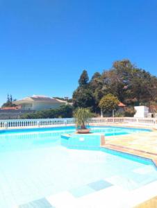 a swimming pool with a palm tree in the middle at Piemonte Flat Serra Negra in Serra Negra