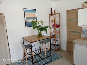 Kuchnia lub aneks kuchenny w obiekcie Studio Gujan-mestras