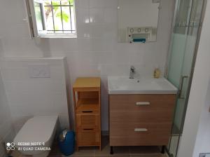 mała łazienka z umywalką i lustrem w obiekcie Studio Gujan-mestras w mieście Gujan-Mestras
