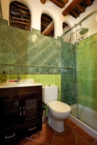 La salle de bains est pourvue de toilettes, d'un lavabo et d'une douche. dans l'établissement Casa Carole - 3 Bedroom Luxury Apartment, à Bubión