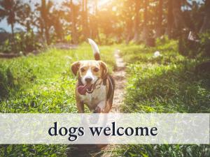 a dog walking down a path with the words dogs welcome at Gemütliche Ferienwohnung in bester Lage l Innenstadtnähe l 1 Minute zum Bahnhof l Küche l TV l Free-WLAN l Willkommen im Hallo!-Apartment 10 in Bad Wörishofen