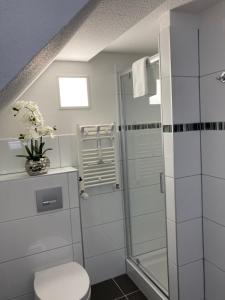 a white bathroom with a shower and a toilet at Appartement 6 ARA in Bergen auf Rügen