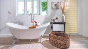 林康Casa Loba Suite 3 with private pool and tub的相册照片