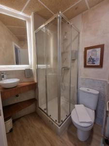 a bathroom with a shower and a toilet and a sink at Le Petit Palü- Flora in Madrid