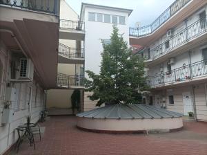 drzewo siedzące na środku dziedzińca w obiekcie CAPPUCCINO CENTRUM Apartman w mieście Kaposvár