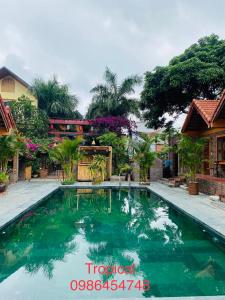 a swimming pool with green water in front of a house at Tam Coc Tropical Homestay in Ninh Binh