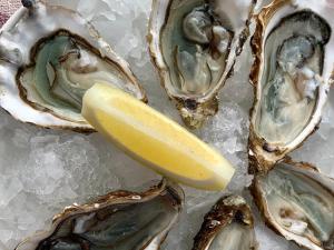 a plate of oysters with a lemon on ice at Iløt Vacances Le Château D Oleron in Le Château-dʼOléron