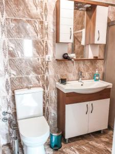 a bathroom with a toilet and a sink at 1453Apartments in Istanbul