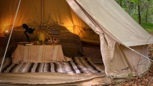 a tent with a table with a plant in it at SENSI - 'FIRE' Restaurant and Glamping in Oostkamp
