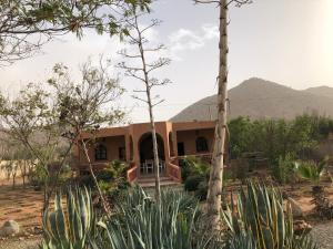 ein Haus mitten in der Wüste mit Bäumen in der Unterkunft Siliya rooms Heart Ameln Valley in Tafraout