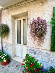 une porte d'entrée d'un bâtiment avec des fleurs et des plantes dans l'établissement Largo piano, à Scilla