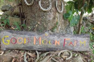 Un cartello che dice "buona fattoria lunare" davanti a un albero. di Traditional West Indian cottage on Good Moon Farm a Great Mountain