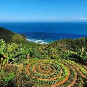 Great MountainにあるTraditional West Indian cottage on Good Moon Farmの海辺の丘の上の螺旋庭園
