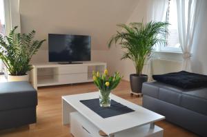 a living room with a tv and some plants at Bort Lodging in Willich