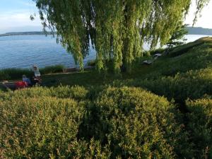 Fotografie z fotogalerie ubytování Ankes Wohlfühlpension v destinaci Überlingen