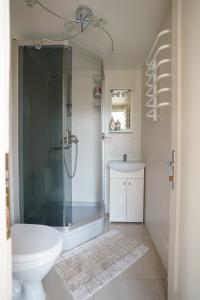 uma casa de banho com um chuveiro, um WC e um lavatório. em Park Apartments em Kulautuva
