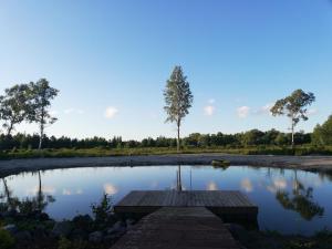 a pond with a wooden platform in the middle of it at Mõiskla saun ja puhkemaja in Haapsalu
