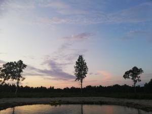 einen kleinen Teich mit Bäumen und einem wolkigen Himmel in der Unterkunft Mõiskla saun ja puhkemaja in Haapsalu