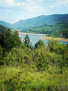 - Vistas al río desde una colina con árboles en Vila Jotic, Zavojsko jezero en Pirot