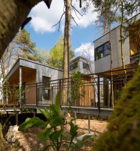 a house in the woods with a tree at Baumhaus Lodge Schrems in Schrems