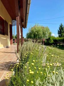 Gallery image of Akácvirág Vendégház in Sarud