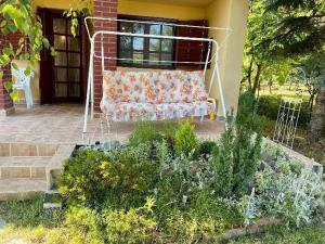 Gallery image of Akácvirág Vendégház in Sarud