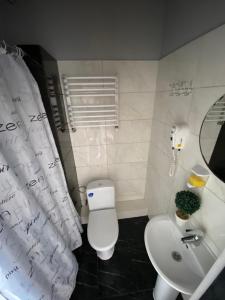 ein Badezimmer mit einem WC, einem Waschbecken und einem Spiegel in der Unterkunft lounge apartment in Iwano-Frankiwsk