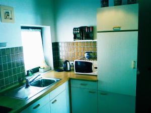 een kleine keuken met een wastafel en een magnetron bij Haus Alpenblick in Zenting