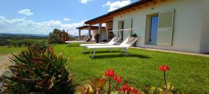 a yard with two lounge chairs and a house at B&B Andrieddu in Telti