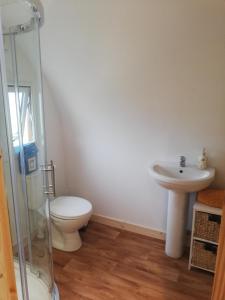 a bathroom with a toilet and a sink at Beautiful couples retreat with hot tub, central heating and views- The Bee Hive by Get Better Getaways in Glenluce