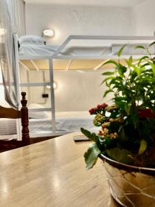 a table with a potted plant on it with a bed at LOFT Apart&Hostal in Lloret de Mar