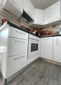 Kuchyňa alebo kuchynka v ubytovaní Luxury Apartman ASIA Rijeka