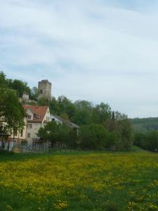 a field of yellow flowers in front of a house at Ferienwohnung zur Altmühl in Pappenheim