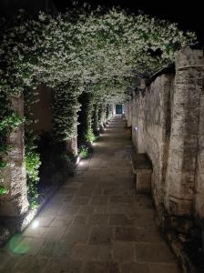 an ivy covered tunnel with a row of benches at Corte Piri in Tricase
