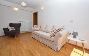 a living room with a white couch and a chair at 4 Bedroom Beautiful Home In Crni Kal in Črni Kal