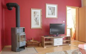 a living room with a fireplace and a television at Amazing Apartment In Rostock With 1 Bedrooms And Wifi in Rostock