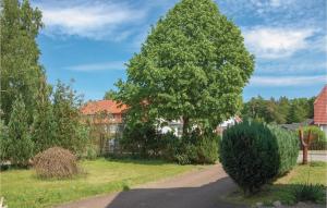 a tree in the middle of a driveway at Amazing Apartment In Rostock With 1 Bedrooms And Wifi in Rostock