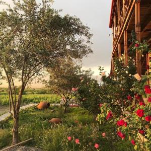 a yard with roses and trees and a house at Elizbar Talakvadze Winery in Kardanakhi